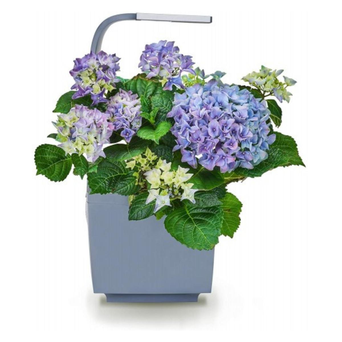 T3 Kitchen Garden Self-Cultivation Pot 20 x 17.5 cm Black