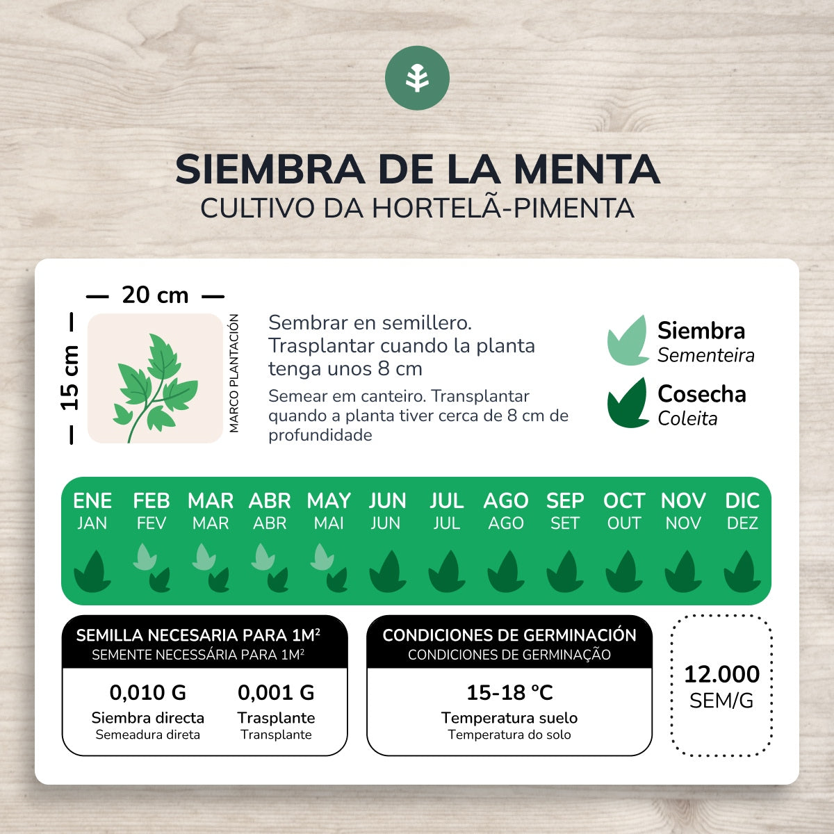 Biologische zaden van Pepermunt Planeta Huerto