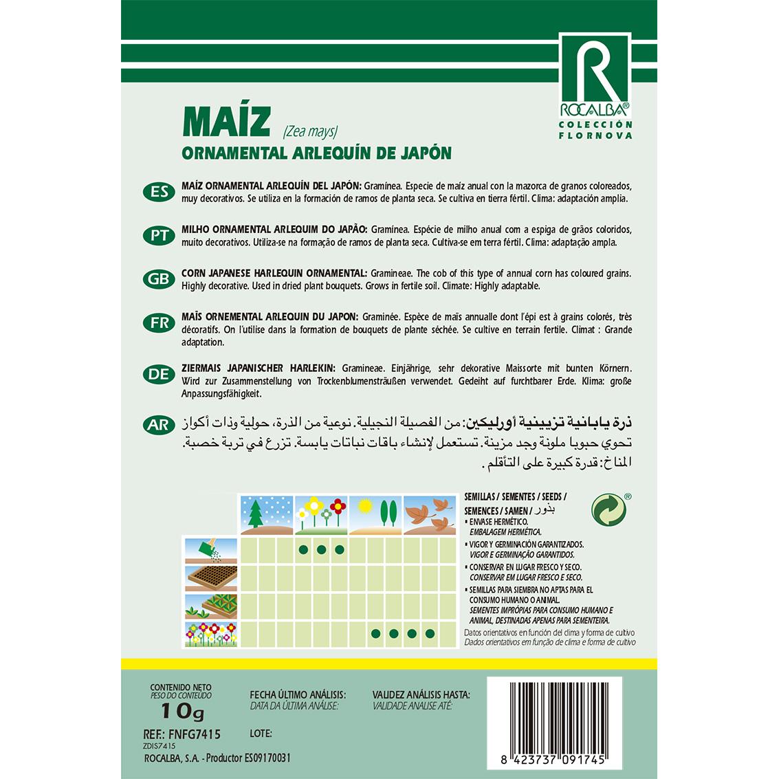 Nasiona kukurydzy ozdobnej Harlequin z Japonii