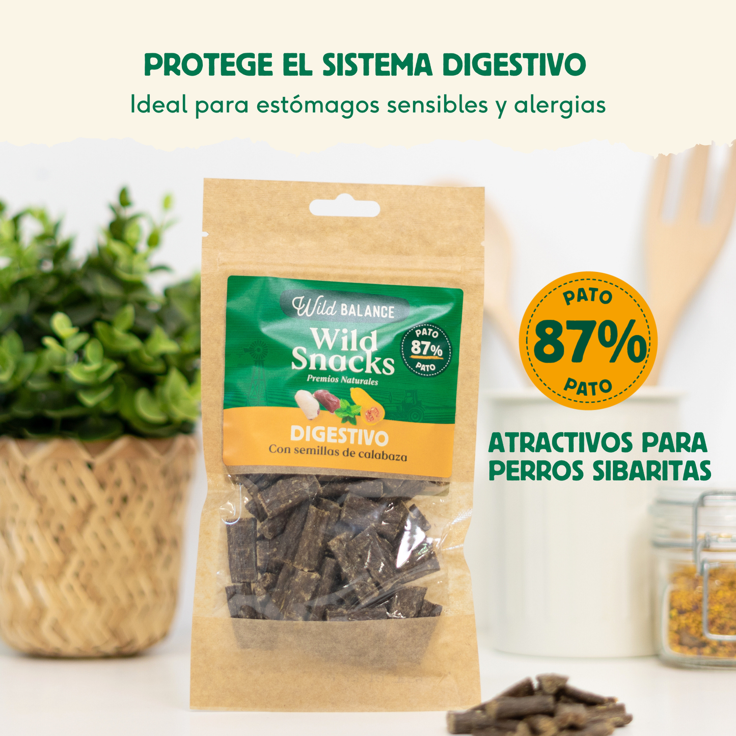 Wild Snacks Digestive Pumpkin Seeds Wild Balance