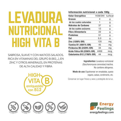 2er-Pack Nährhefe mit Vitamin B12 in Flocken Energy Feelings 250 g