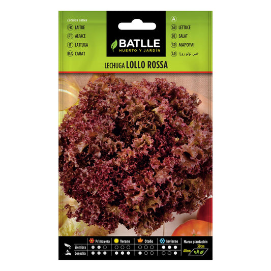 Nasiona sałaty Lollo rosa Batlle