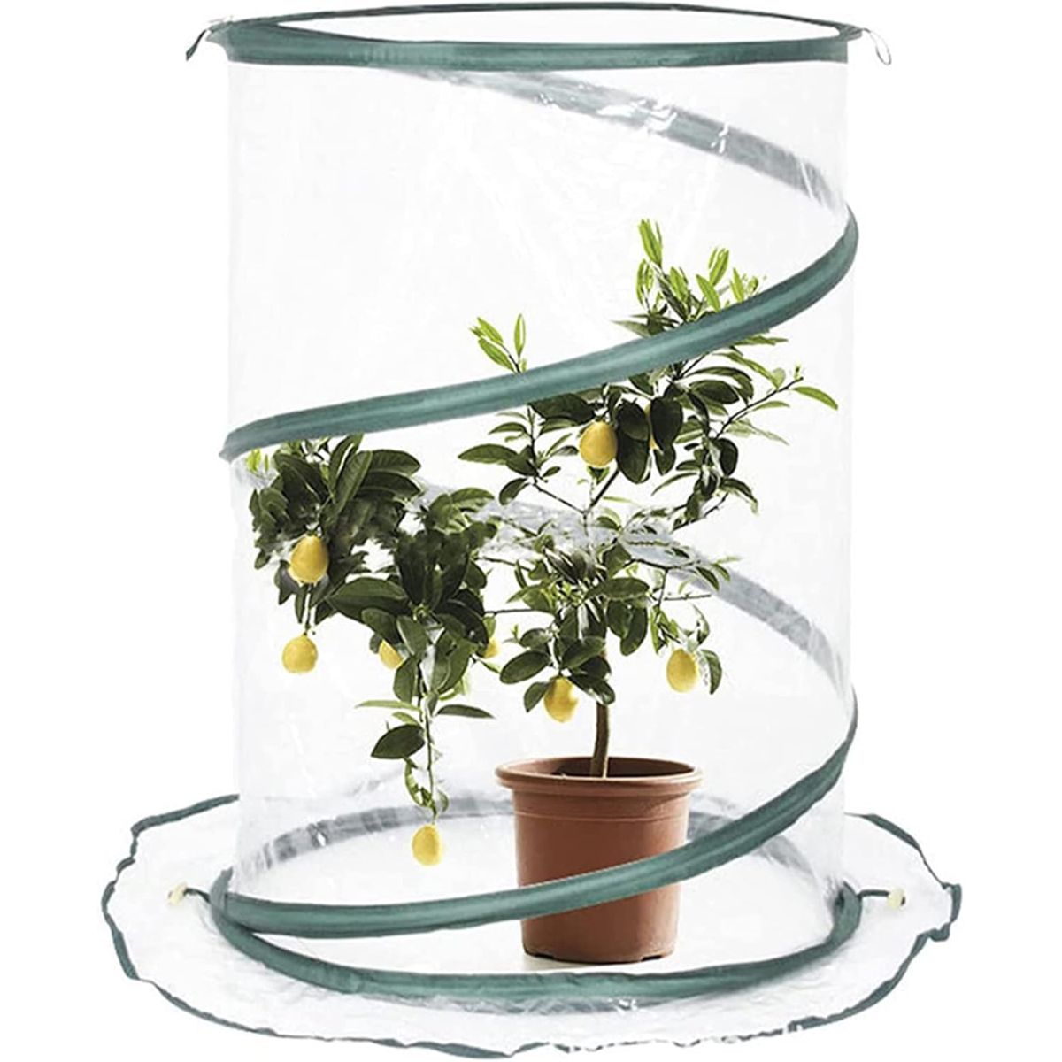 Verdemax Pop-Up Greenhouse ø 70 x 110 cm