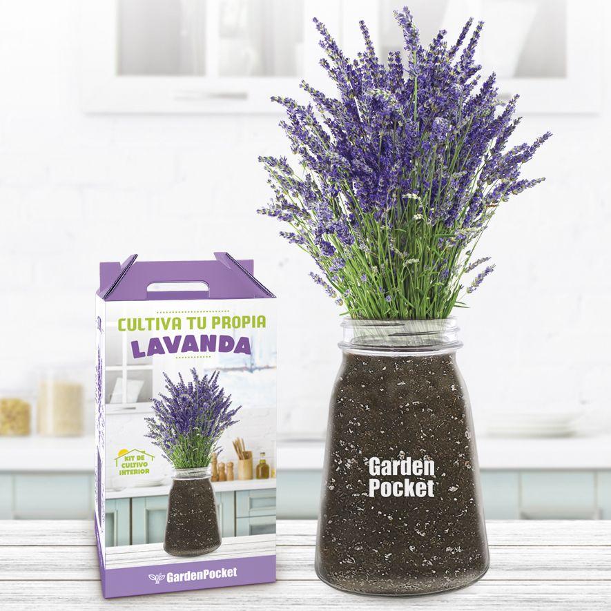 Kit för att odla din egen lavendel inomhus, Garden Pocket