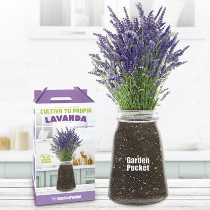 Kit för att odla din egen lavendel inomhus, Garden Pocket