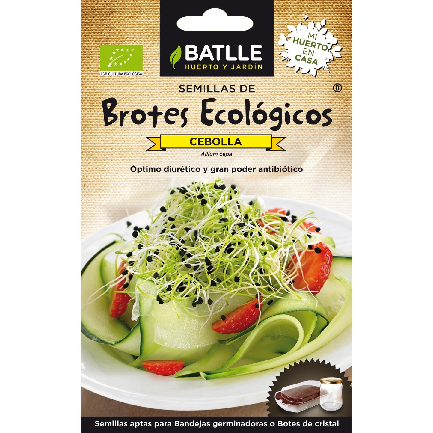 Ökologische Zwiebelsamen für Sprossen Batlle