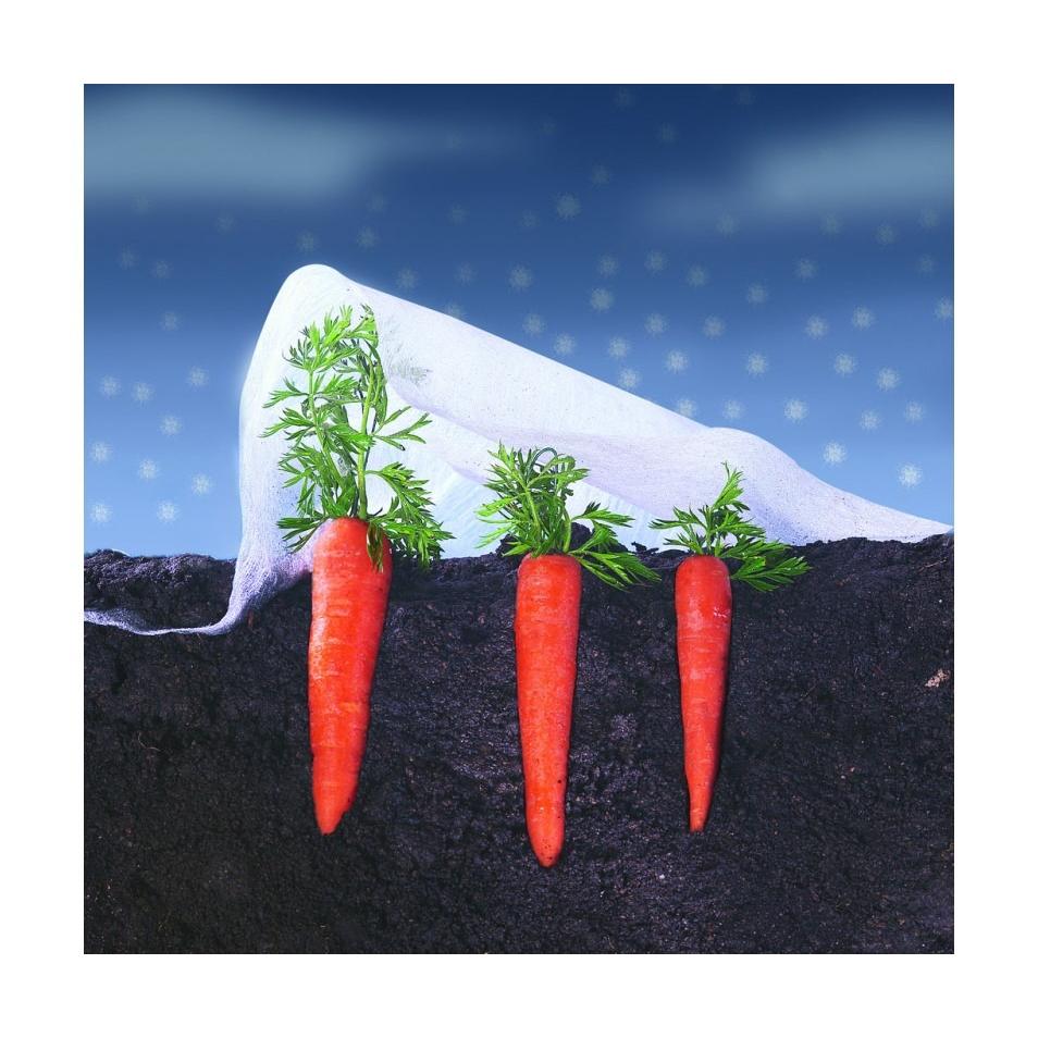 Voile de croissance Climatex Nortene 2 x 5 m