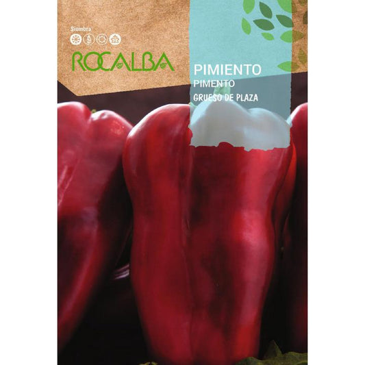 Graines de poivron épais de Plaza