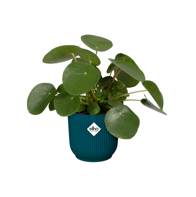 Elho Vibes Fold Round Deep Blue Plant Pot 30 cm