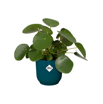 Elho Vibes Fold Round Deep Blue Plant Pot 30 cm