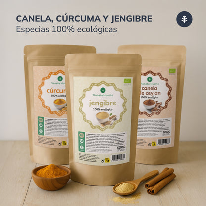Cúrcuma en polvo ECO Planeta Huerto 200 g