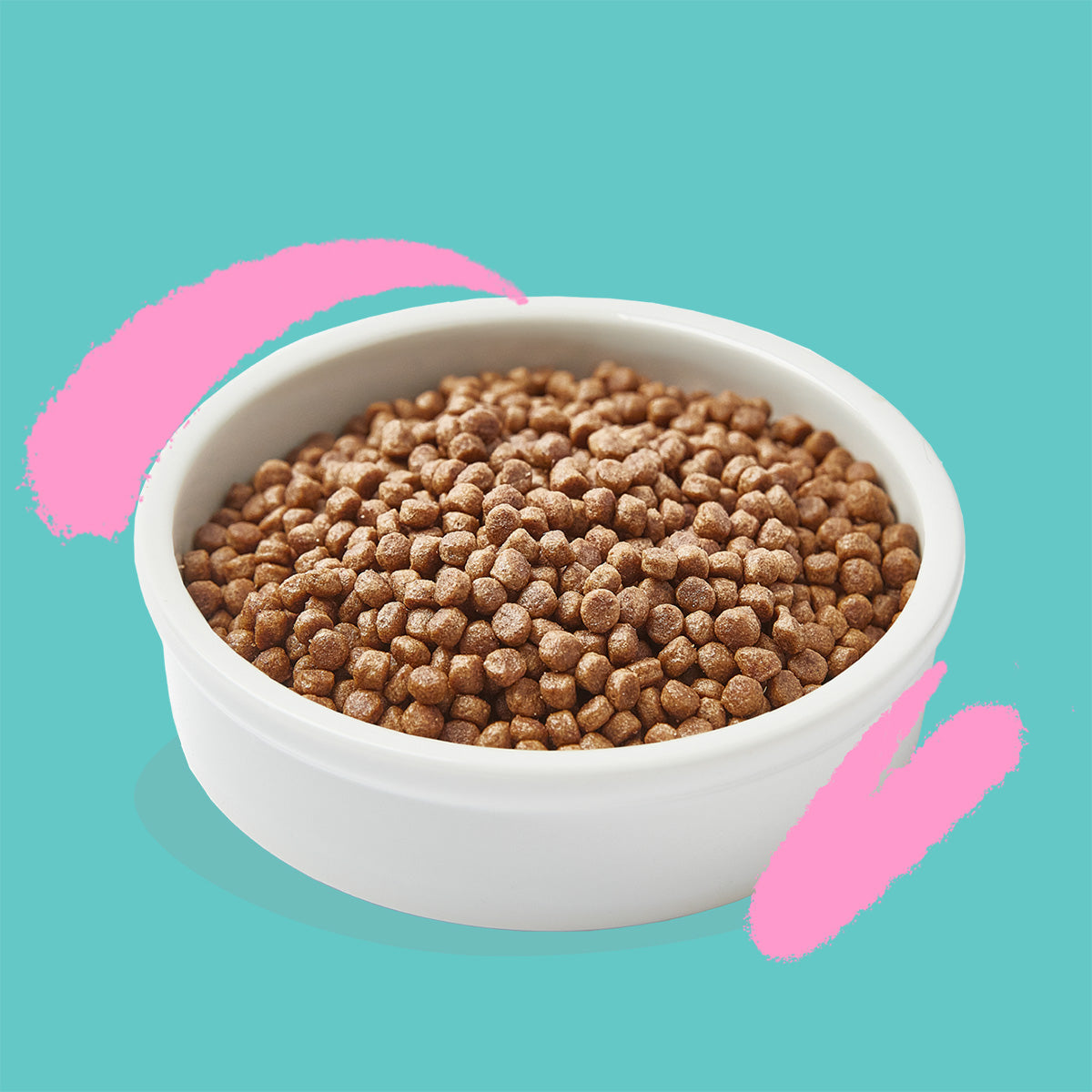 Karma dla kotów Kitten Świeża kaczka i kurczak Edgard & Cooper 2 kg