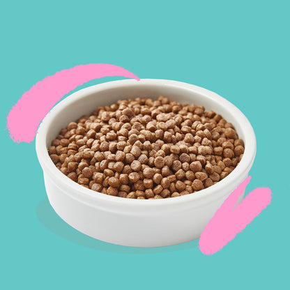 Karma dla kotów Kitten Świeża kaczka i kurczak Edgard & Cooper 2 kg