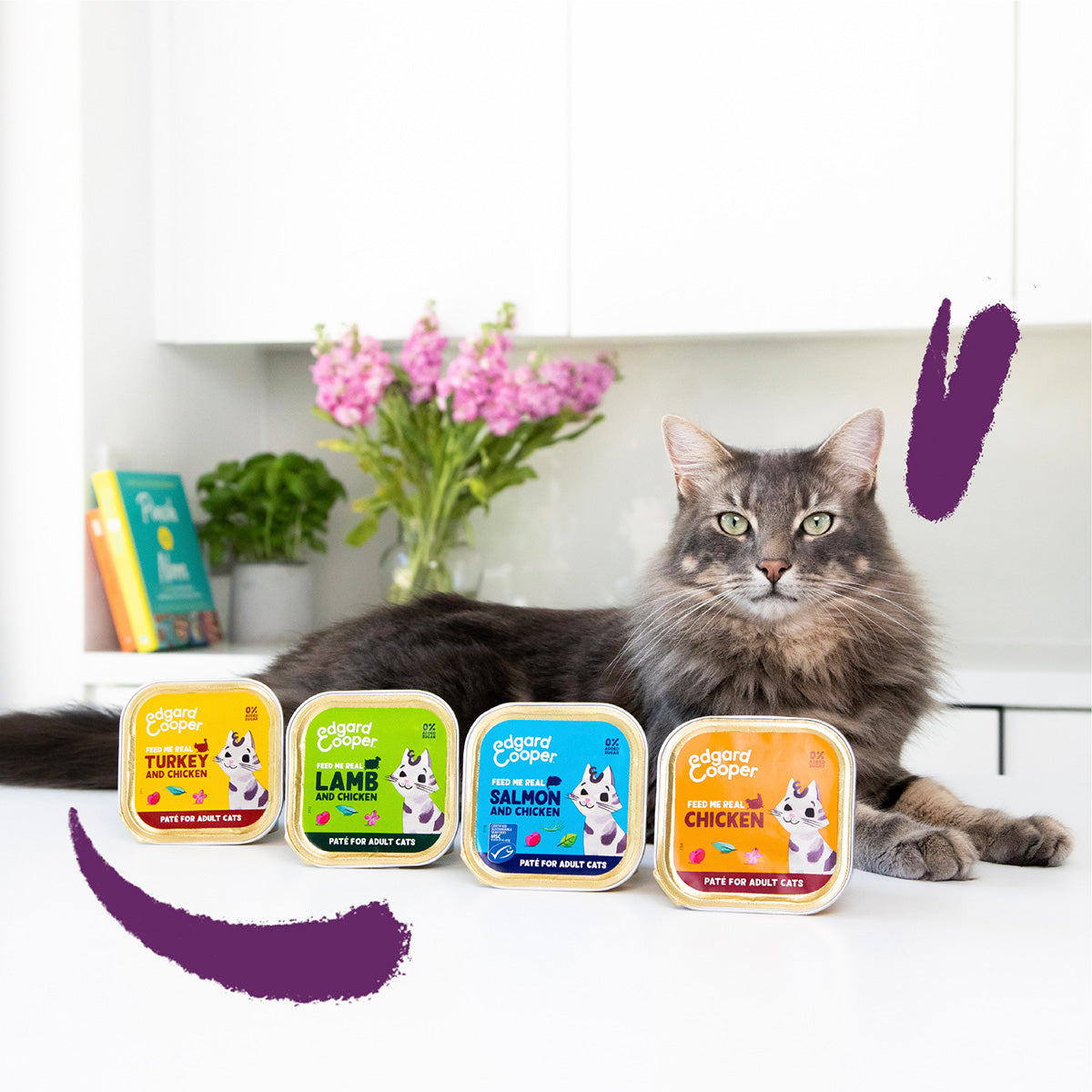 Nassfutter für Katzen, Pastete, Lachs und Huhn, Edgard & Cooper, 85 g