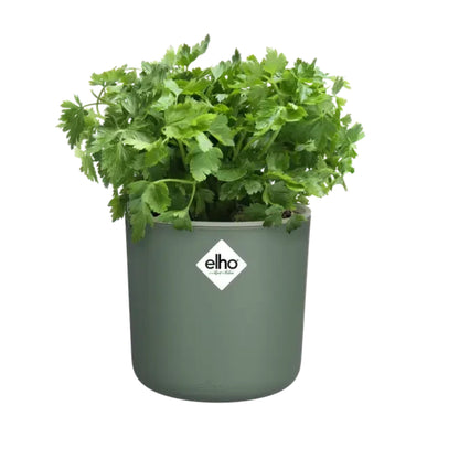 Bloempot voor kruiden met zelfbewatering Happy Herbs Elho 14 cm