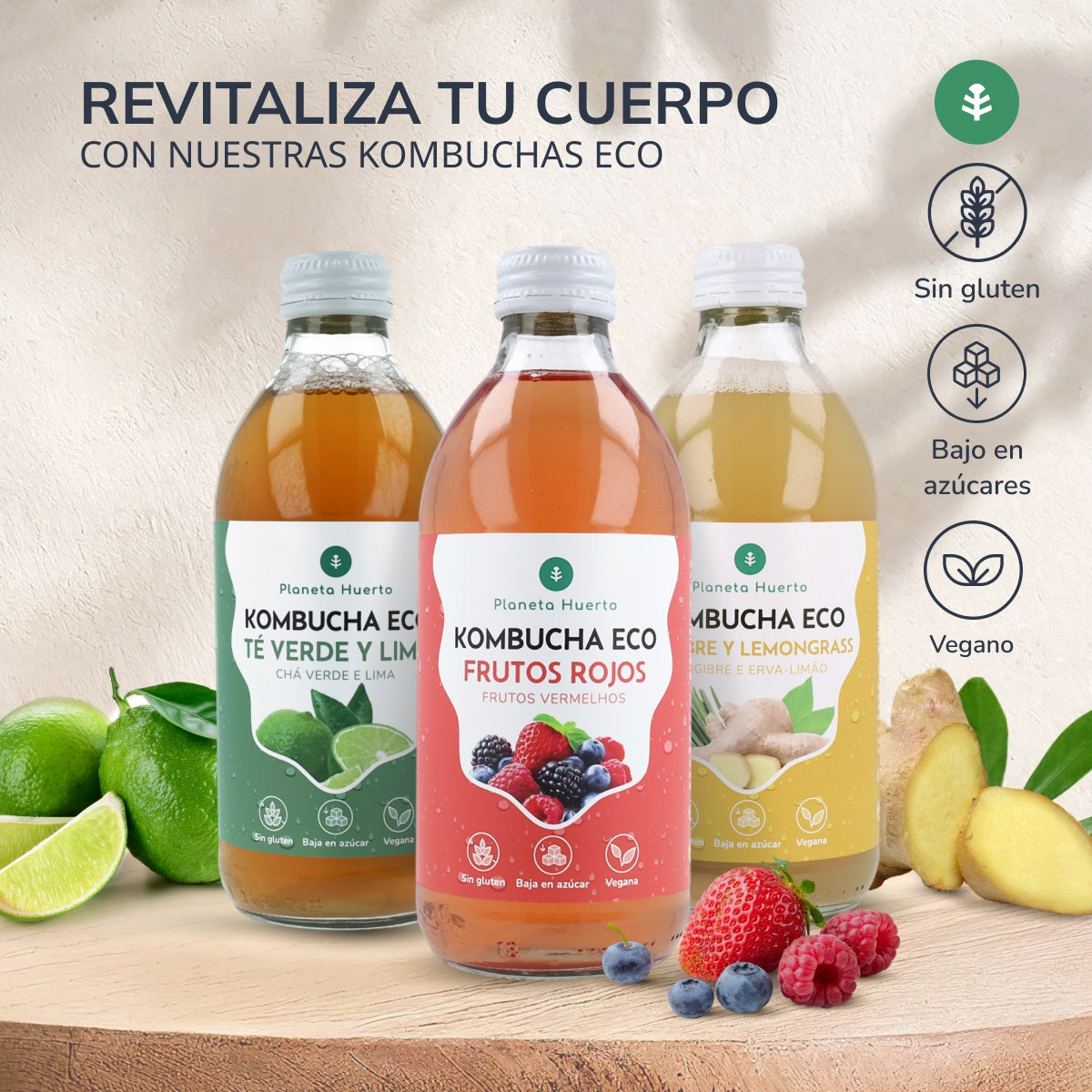 Pack 6x Kombucha ECO grüner Tee und Limette Planeta Huerto 330 ml