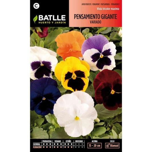 Batlle Assorted Giant Pansy Seeds