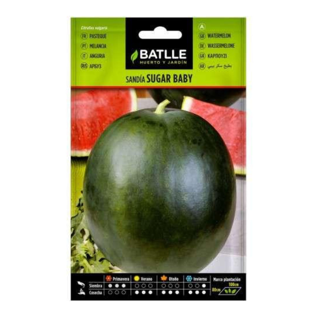 Graines de pastèque Sugar baby Batlle