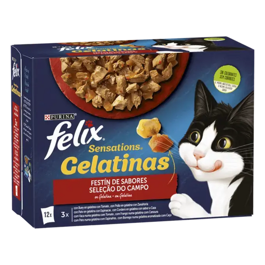 FELIX Sensations Festín de Sabores in gelatina 12 x 85 g