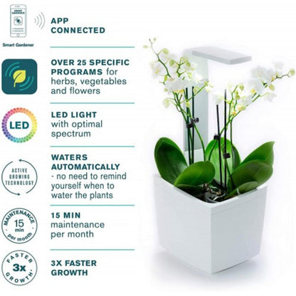 T3 Kitchen Garden Self-Cultivation Pot 20 x 17.5 cm Black