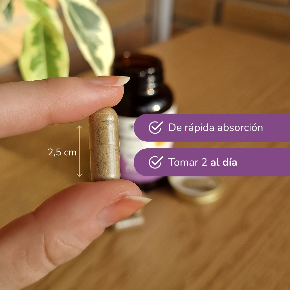 Hair Booster hår, hud och naglar Planeta Huerto 120 kapslar