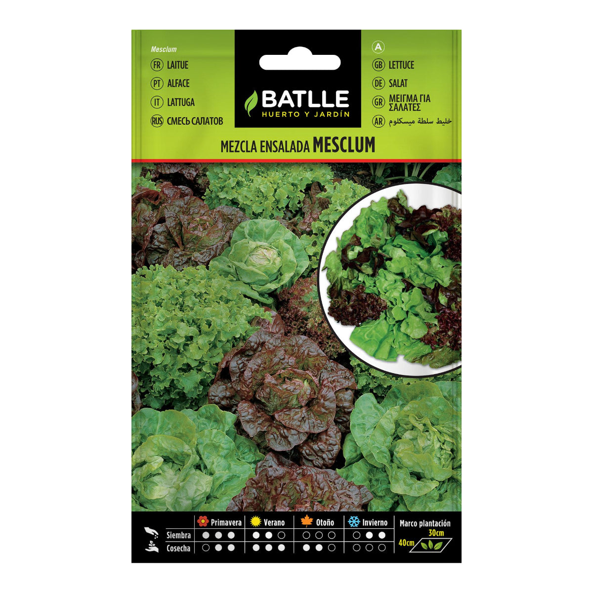 Mesclum-Salatsamen Batlle