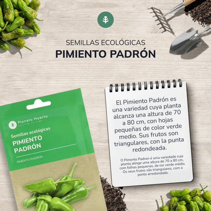 Ekologiska frön av Padron Pepper Planeta Huerto