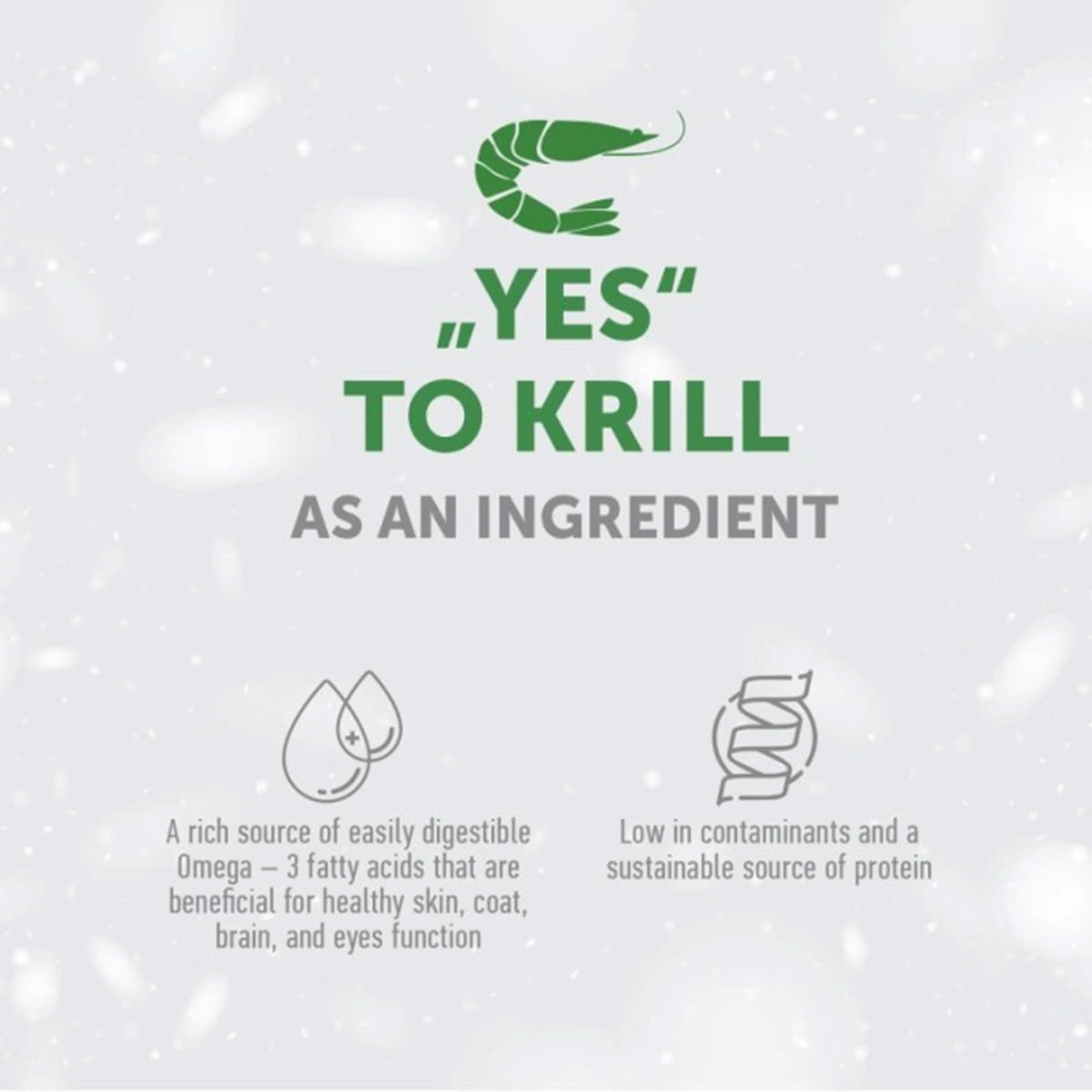 Nature's Protection White Dog Karma bezzbożowa Łosoś dla dorosłych psów 1,5 kg