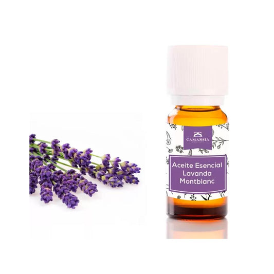 Lavender Essential Oil, Camassia 30 ml