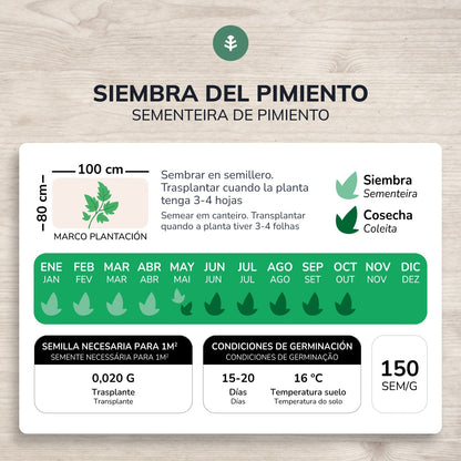 Semillas de Pimiento largo de Reus ecológicas Planeta Huerto