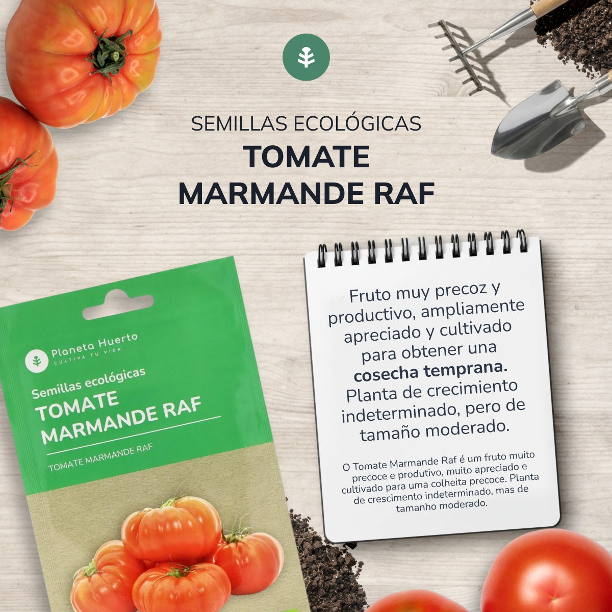 Graines de tomates bio marmande Raf Planeta Huerto