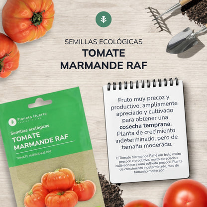 Graines de tomates bio marmande Raf Planeta Huerto