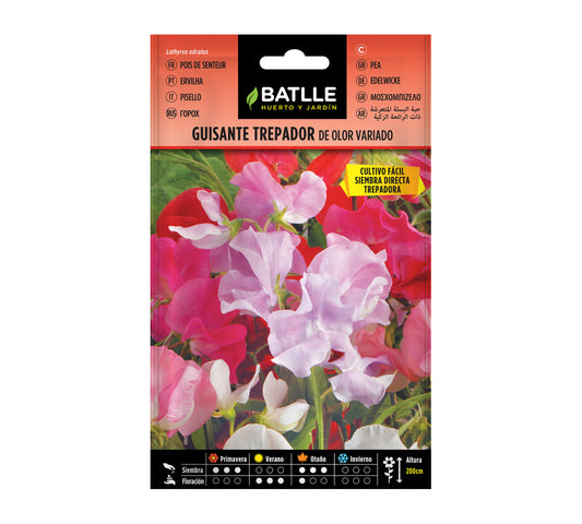 Batlle climbing pea seeds in assorted flavours