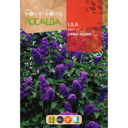 Lila-zaden Syringa vulgaris