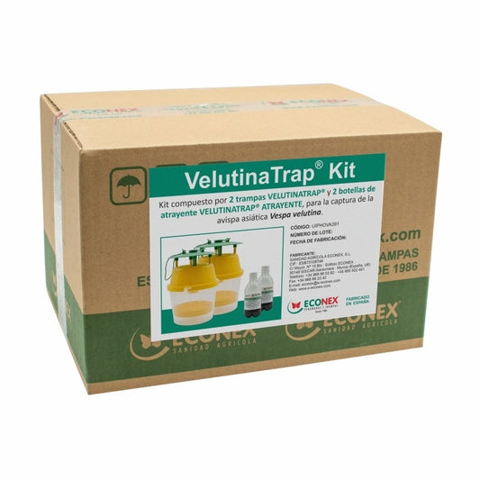 Velutinatrap Kit Lokmiddel + Val voor Aziatische hoornaar velutina 2 stuks