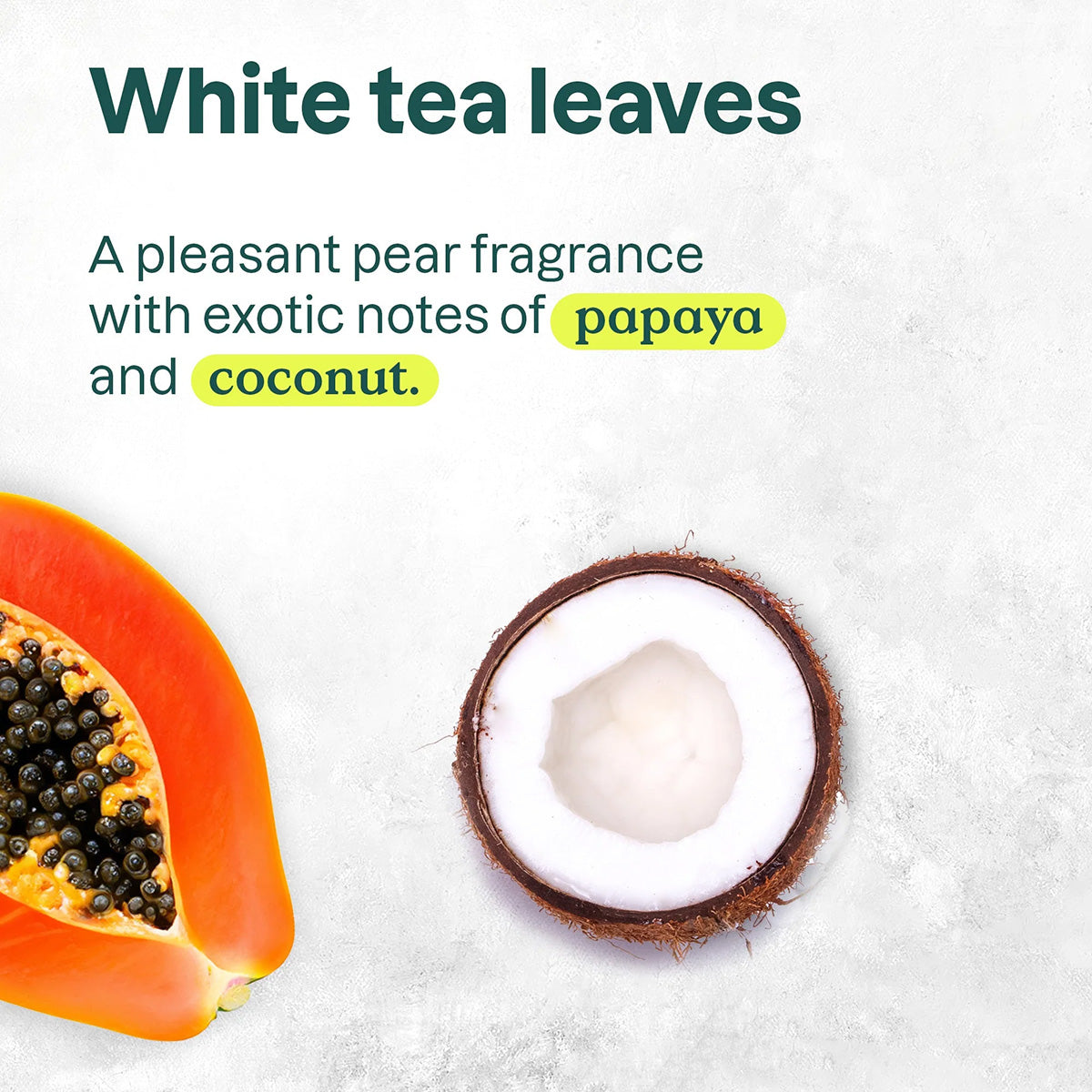 Super leaves White Tea Leaves Hand Soap Attitude 473 ml