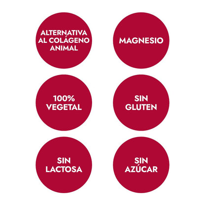 Kollagen-Aminosäuren Geschmack Cookies & Cream, Ana María La Justicia, 350 g Pulver