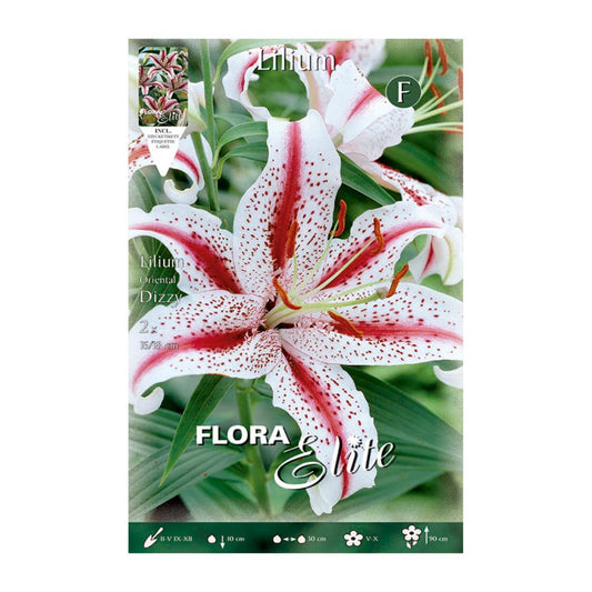 Cebulka Lilium Oriental Dizzy  2 szt.