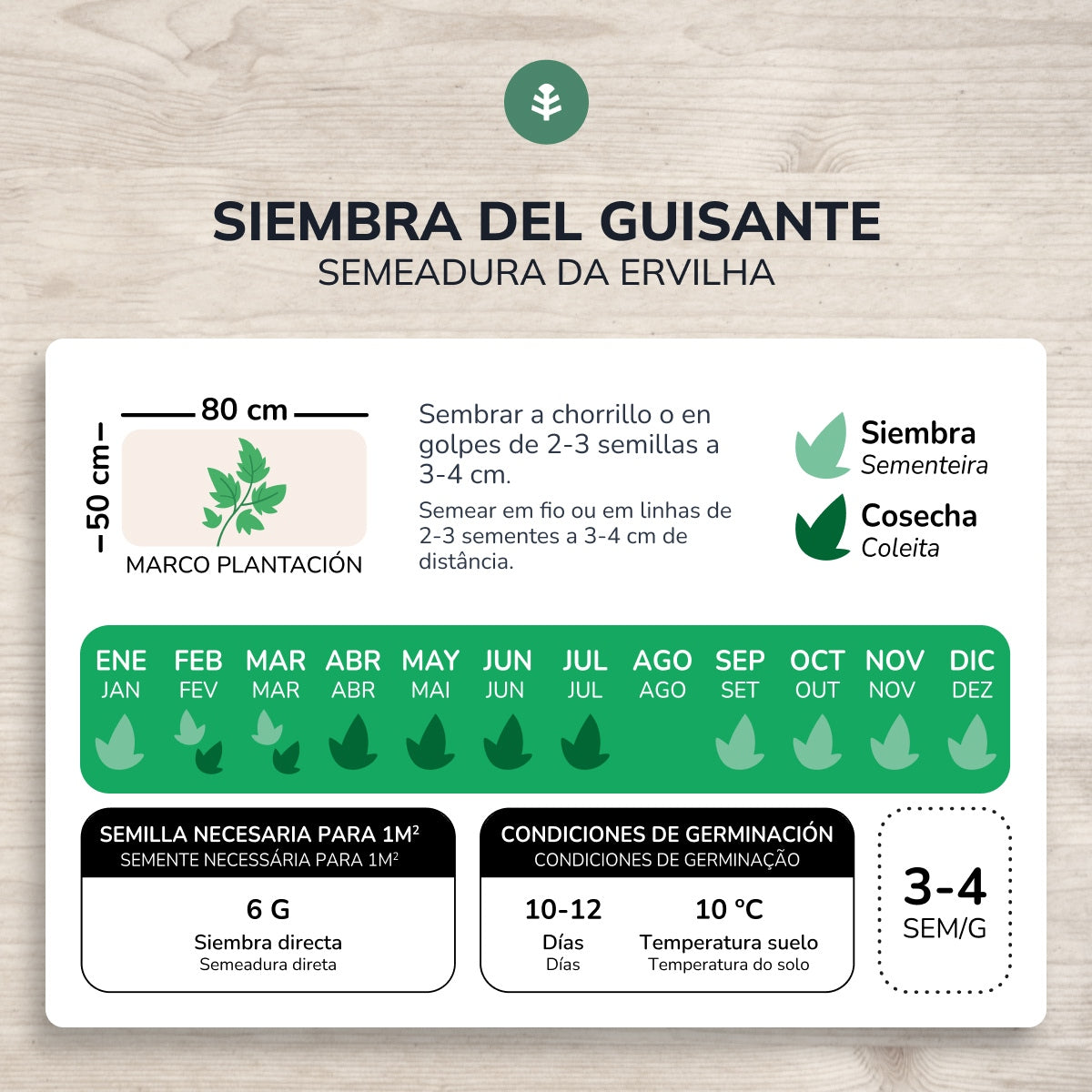 Semi ecologici di Pea rondo 1/2 enrame Planeta Huerto