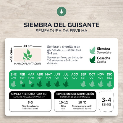 Semi ecologici di Pea rondo 1/2 enrame Planeta Huerto