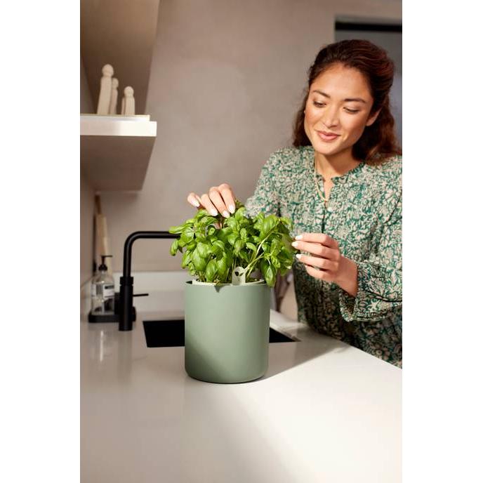 Bouncy Basil Elho Green self-watering aromatic plant pot