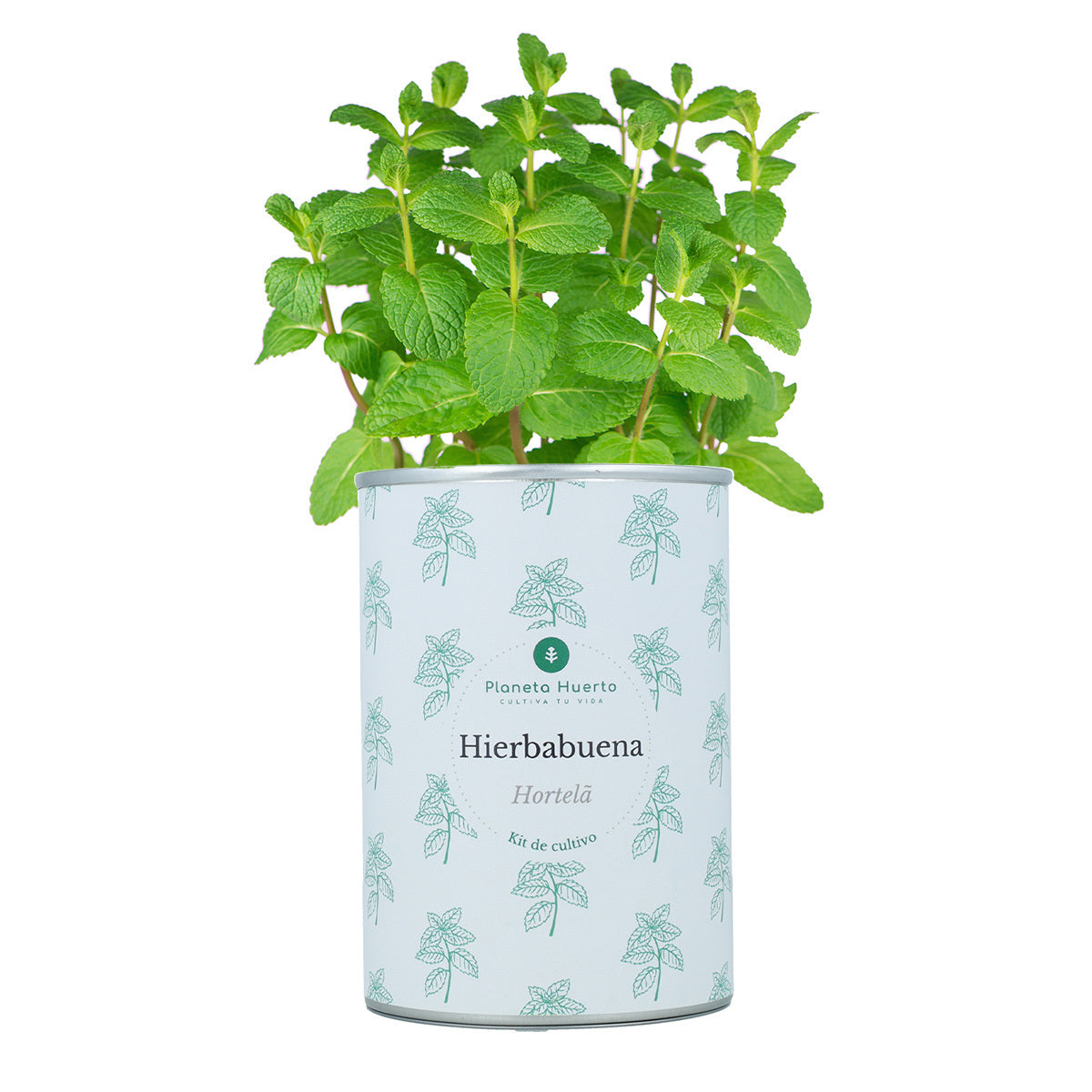 Aromatic cultivation Kits Chest Pack Planeta Huerto