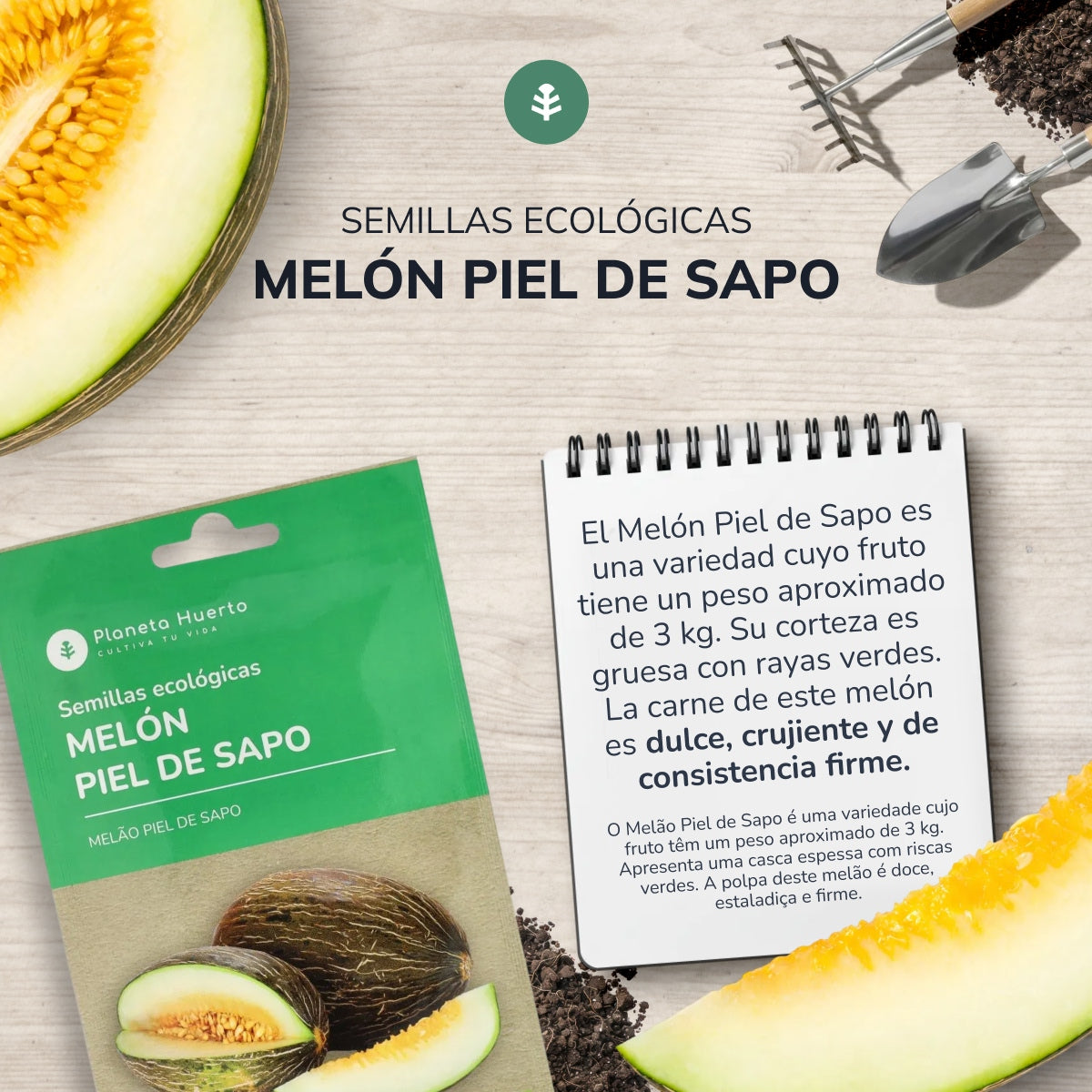 Organiczne nasiona Melon piel de sapo Planet Garden