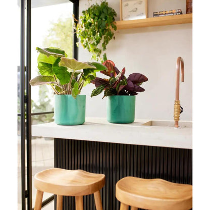 Ocean Round Elho recycled plant pot, Pacific green, 16 cm