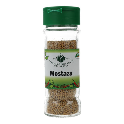 Biocop mustard seeds 60 g