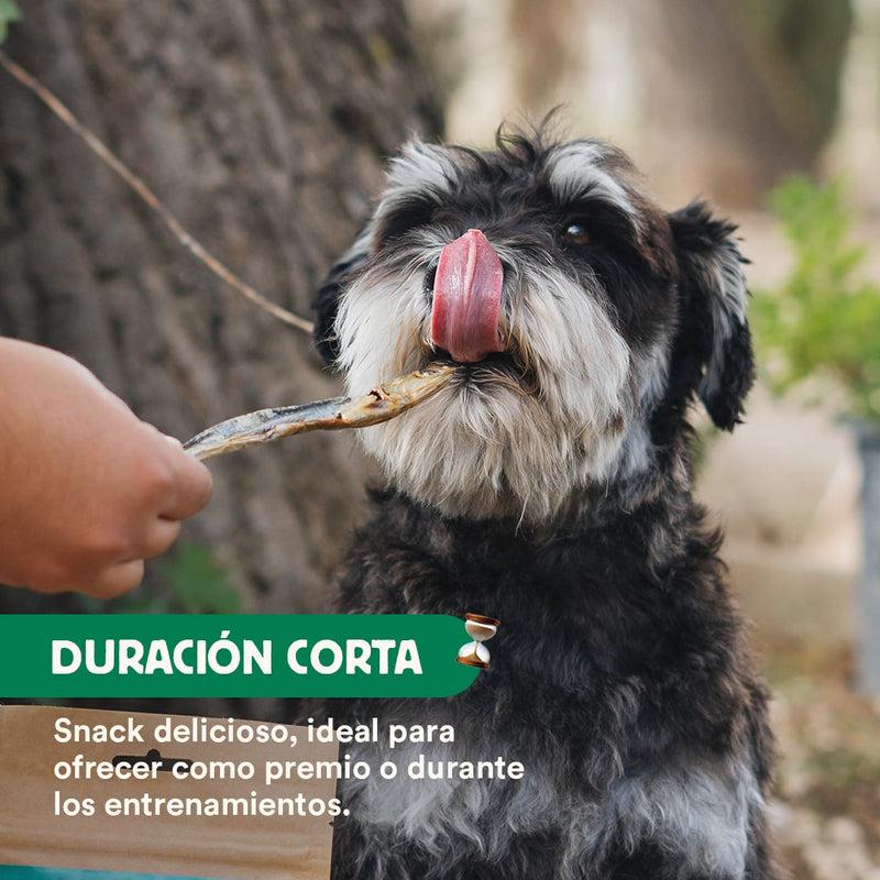 Wild Balance Dehydrated Anchovy Natural Snack 40 g