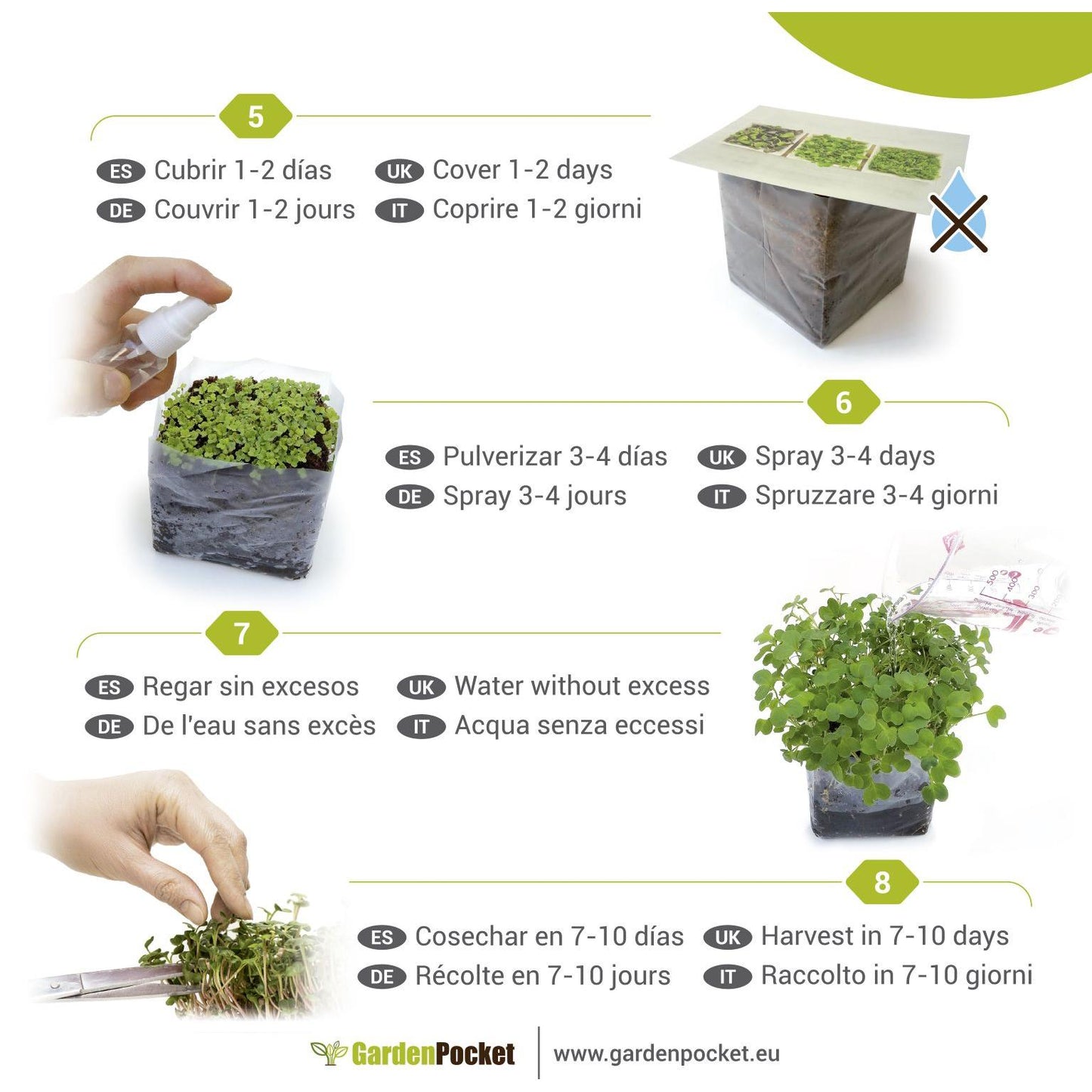 Mikrogrönsaker POP Mix