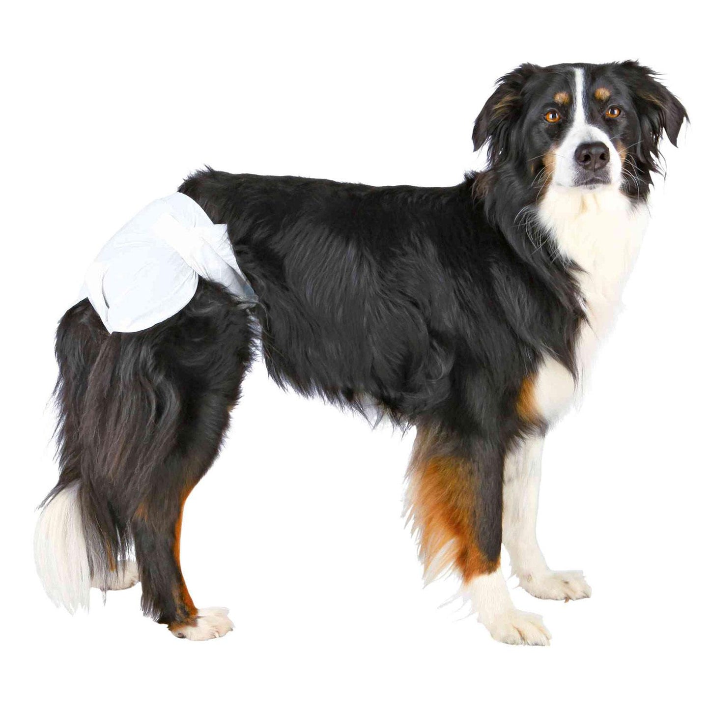 Trixie 12 Ultra-Absorbent Nappies for Female Dogs S-M
