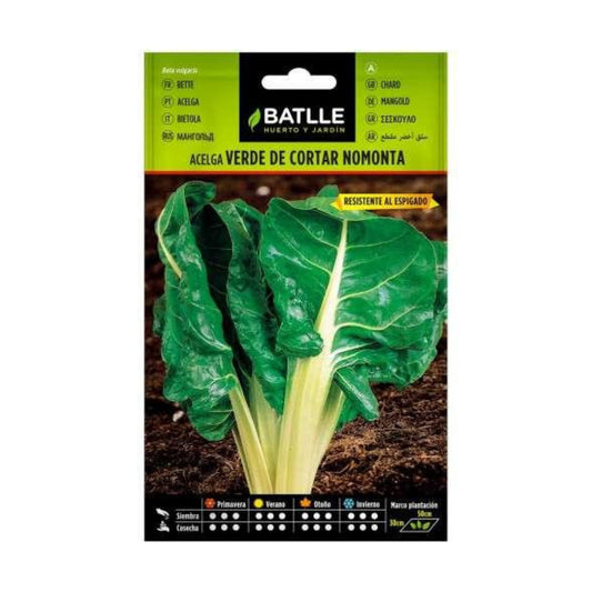 Semi di bietola verde da taglio nomonta Batlle