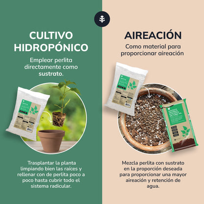 Pack 2xPerlite Planeta Huerto 8 Litres